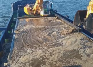 A confraría de Rianxo inicia os dragados para recuperar a produtividade dos bancos marisqueiros