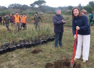 A conselleira de Medio Ambiente participa nunha plantación de sobreiras no Parque Natural de Corrubedo