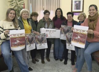 Meis mantén viva a súa tradición do galo de curral poñendo á venda 250 exemplares