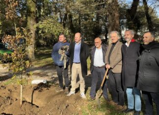 Caldas recuperará a riqueza botánica e patrimonial da súa Carballeira cunha achega de 1,45 millóns de euros