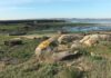 Sete detidos nunha operación contra o tráfico de drogas con epicentro en Vilanova