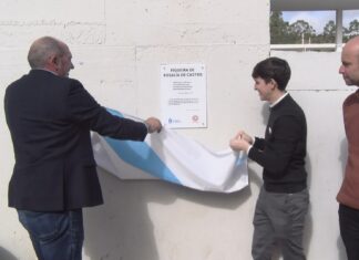 Ribeira e a Fundación Rosalía estreitan lazos coa plantación dunha figueira