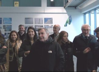 A presidenta da Comisión de Pesca do Senado recolle en Ribeira as inquedanzas do sector