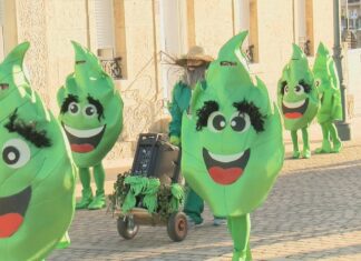Meis celebrará o seu gran desfile de Entroido o 1 de marzo