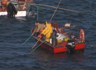 Mar trasládalle ó sector a súa vontade de mellorar a produtividade do libre marisqueo