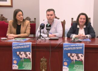 Noia presenta a ‘Semana Saudable’ que xirará este ano ao redor do queixo con DOP