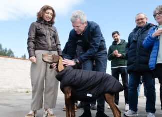 Rueda anuncia en Vilagarcía que a Xunta triplicará os fondos para a adopción de animais abandonados