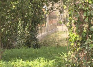 O PP de Boiro esixe a execución do treito final do paseo de Coroño en terreos xa expropiados