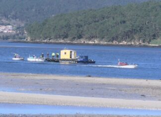 Reabre a campaña marisqueira de Noia con máis berberecho que ameixa
