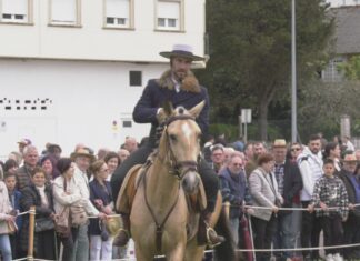 Éxito de participación na Feira de San Marcos con máis de 70 cabalos a concurso