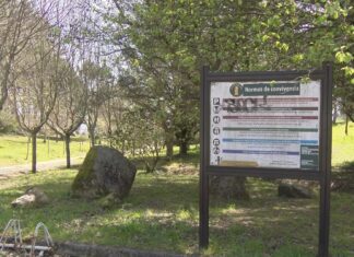 O concello de Ribeira destina máis de 300 mil euros á renovación integral do Parque de San Roque