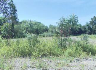 O concello de Ribeira encargará un informe sobre a viabilidade de construír a residencia nas Saíñas
