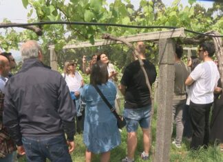 As xornadas de portas abertas na Ruta do Viño Rías Baixas colgan de novo o cartel de completo