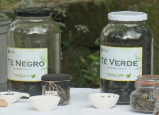 Día Interncional do Té dende o mosteiro da Armenteira