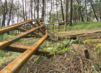 O PP da Pobra denuncia o mal estado do paseo da Pedra da Moura