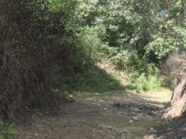 A Garda Civil confirma a identidade dos cadáveres calcinados que apareceron en Campo Lameiro