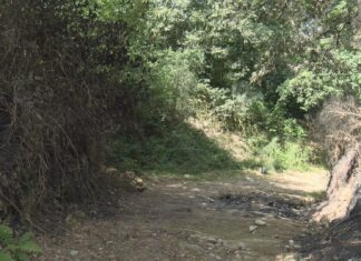 A Garda Civil confirma a identidade dos cadáveres calcinados que apareceron en Campo Lameiro