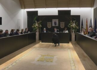 O pleno extraordinario sobre a seguridade cidadá en Pontevedra celebrarase o vindeiro luns