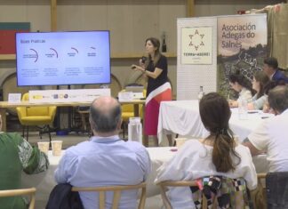 O XIII Foro do Albariño reivindica o enoturismo en Rías Baixas como ferramenta cultural e económica