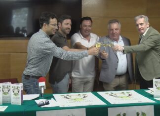 Cambados desconta os días para a LXXIII Festa do Albariño