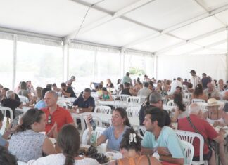 Porto do Son repite éxito coa Festa do Polbo
