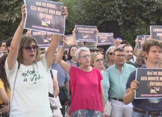 Centos de persoas protestan en Vilagarcía e Pontevedra contra os incendios e a política forestal da Xunta