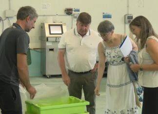 A directora xeral de Desenvolvemento Pesqueiro coñece os equipamentos da lonxa de Ribeira
