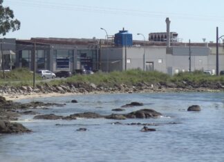 O Plan Especial do Porto de Cambados, clave para o asentamentos de novas industrias