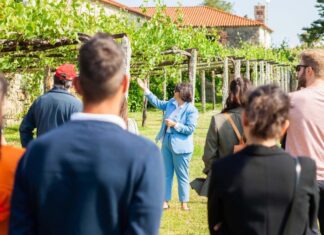 A Ruta do Viño Rías Baixas sitúase entre as dez máis visitadas de España con máis de 155.000 visitas o ano pasado