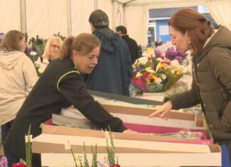 Abre o Mercado das Flores de Vilagarcía con prezos que van dos dous aos 80 euros