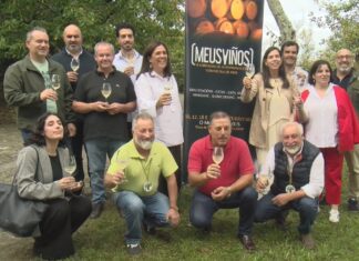 Meusviños incorpora unha cuarta xornada dedicada a profesionais