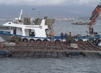 Preocupación no sector bateeiro polo peche do 80% dos polígonos das rías galegas
