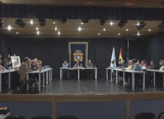 O pleno de Ribeira aproba a prórroga forzosa do contrato do SAF durante nove meses