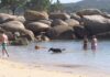 O Salnés consolídase como un dos destinos ‘pet friendly’ máis avanzados de España
