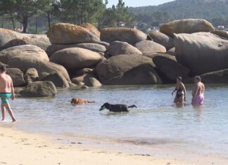 O Salnés consolídase como un dos destinos ‘pet friendly’ máis avanzados de España