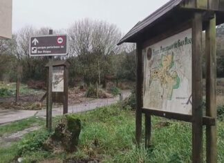 Retirados os restos dos vehículos que afeaban o sendeiro de acceso a San Roque