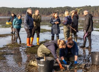 A consellería do Mar continúa coas mostraxes para avaliar o impacto do temporal nas praias