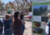 A alameda da Pobra acolle unha mostra sobre a camelia na provincia da Coruña