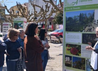 A alameda da Pobra acolle unha mostra sobre a camelia na provincia da Coruña