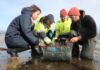O marisqueo de Vilanova denuncia que a situación é crítica e reclama a Mar que axilice as axudas
