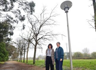 Pontevedra estrea na Xunqueira da Gándara unha iluminación LED máis respectuosa coa fauna