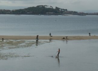 O BNG esixe medidas para garantir o futuro do marisqueo