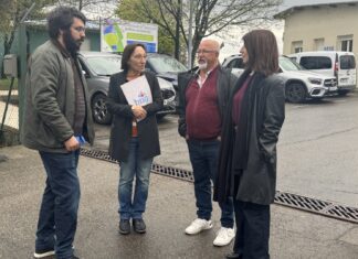 O BNG demanda un plan de aproveitamento da planta de Servia para evitar o seu peche