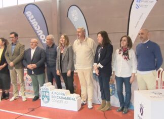 37 equipos medirán forzas no Torneo Fútbol Base Congalsa en beneficio de Aladina