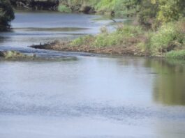 Amicos pon en marcha un proxecto europeo medioambiental centrado no río Umia