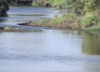 Amicos pon en marcha un proxecto europeo medioambiental centrado no río Umia