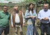 A Xunta reclama ao ministerio que o mildeu se inclúa nas enfermidades subvencionables polos seguros agrarios