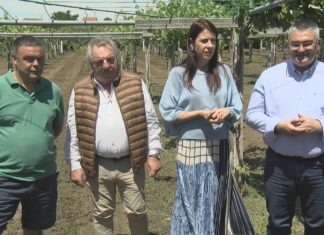 A Xunta reclama ao ministerio que o mildeu se inclúa nas enfermidades subvencionables polos seguros agrarios