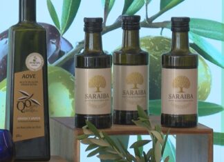O Salnés presume do seu primeiro aceite de oliva