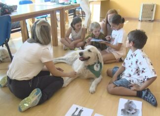 Everest e Nanook inauguran o regreso do Programa de Intervencións Asistidas con Animais en Cambados